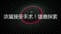 浓眉接受手术！雄鹿探索签换库明加
，瓦兰首度发声，约基奇新决定