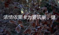 浓情依莱卡为爱筑巢，健康全铝家居感恩天下母亲!