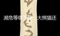 濒危等级下降�，大熊猫还需要保护吗？