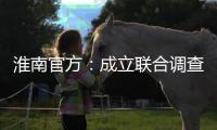 淮南官方：成立联合调查组，全面调查张某被强制送医等问题