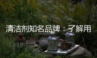 清洁剂知名品牌：了解用户需求 注重市场反馈