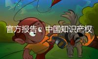 官方报告：中国知识产权公共服务能力和水平不断提升