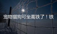 宠物猫狗可坐高铁了！铁路12306推出“宠物托运”功能