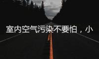 室内空气污染不要怕，小海鸥贝壳粉还你清新空气!