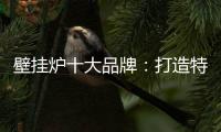壁挂炉十大品牌
：打造特色产品 立足国际市场之林