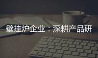 壁挂炉企业：深耕产品研发 把握消费需求