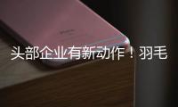 头部企业有新动作！羽毛球又掀“涨价潮”
？