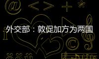 外交部：敦促加方为两国企业开展正常贸易和合作提供公平	�、非歧视、可预期的环境