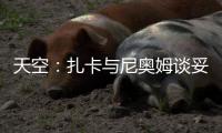 天空：扎卡与尼奥姆谈妥1000万欧年薪，费内巴切仍在劝说球员加盟