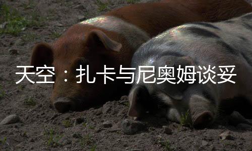 但费内巴切仍在劝说球员加盟
