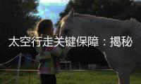 太空行走关键保障：揭秘中国新型“飞天”舱外服