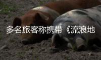 多名旅客称携带《流浪地球2》周边充电宝登机受阻：最高售价近千元，如今面临处理难