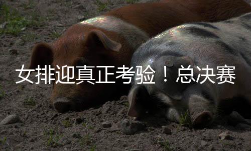 我们就已经确定晋级了