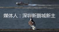 媒体人�：深圳新鹏城新主帅很快将官宣	�，有中国联赛执教经验