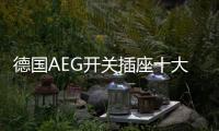 德国AEG开关插座十大品牌
	：经典呈现�，完美创新