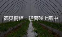 德贝橱柜
：轻奢碰上新中式 缔造专属的优雅