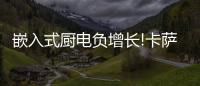 嵌入式厨电负增长!卡萨帝
：唯一逆势增长份额创新高