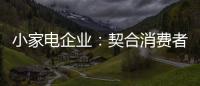 小家电企业：契合消费者需求 打造品牌消费