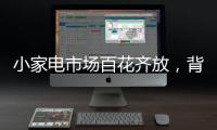 小家电市场百花齐放	，背后的安全隐患不容忽视。
