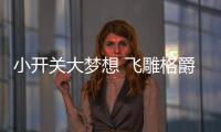 小开关大梦想 飞雕格爵