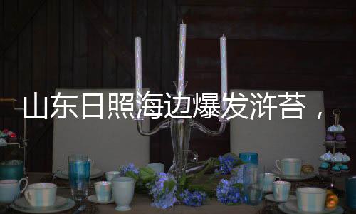 恶臭还要加强监管预警