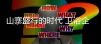 山寨盛行的时代 卫浴企业如何抢占市场
？
