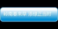 岭南春来早 添绿正当时！香洲区大街小巷植树忙