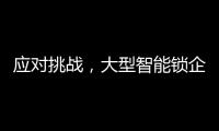 应对挑战，大型智能锁企业要“刹住车”