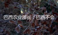 巴西农业部长：巴西不会屈服于美国贸易打压