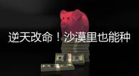 逆天改命�！沙漠里也能种出“吨粮田”