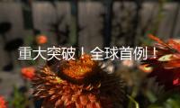 重大突破	！全球首例
！