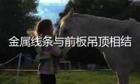 金属线条与前板吊顶相结合
，诠释高级沉稳的空间氛围
