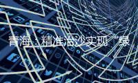 青海�：精准治沙实现“绿进沙退”