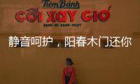 静音呵护，阳春木门还你一个安静温馨的家