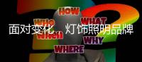 面对变化�，灯饰照明品牌如何激发内在驱动力?