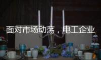 面对市场动荡
，电工企业要适应环境变化