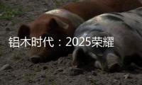 铝木时代：2025荣耀加冕
，领航中国铝木门新风尚