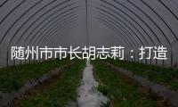 随州市市长胡志莉	：打造汉襄宜“金三角”重要节点城市丨中国市长说