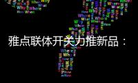 雅点联体开关力推新品	：拉丝黑开关
