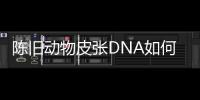 陈旧动物皮张DNA如何获取？ 最新研究称改良方法值得推广