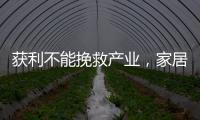 获利不能挽救产业
，家居照明企业应加快技术改革