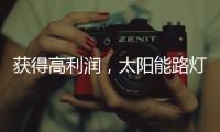 获得高利润，太阳能路灯企业需要什么商业技能?