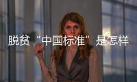 脱贫“中国标准”是怎样制定的？ 下一步怎么走？