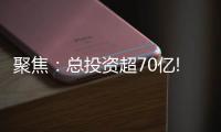 聚焦：总投资超70亿!三棵树、东方雨虹
	、富思特等项目被列为省重点项目