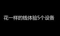 快排公司十年历程，霸屏兔 seo 的崛起与坚守