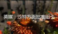 英媒	：沙特方面批准纽卡高价签伊兰加，目标还包括格伊等国脚球员