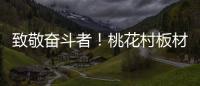 致敬奋斗者！桃花村板材以国标级环保守护每个家