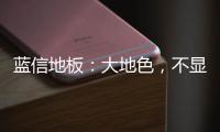 蓝信地板：大地色
，不显眼，却很高级