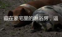 藏在豪宅里的淋浴房，逼格简直不要太高……