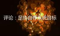 评论：足协自荐系统目标需更加明确